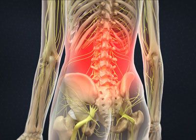 lower back lumbar